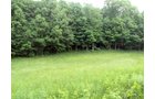 Property photo 7 - 120 Acres Offered in 9 Tracts - Real Estate & Personal Property Auctions